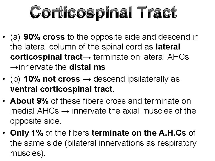 Corticospinal Tract • (a) 90% cross to the opposite side and descend in the