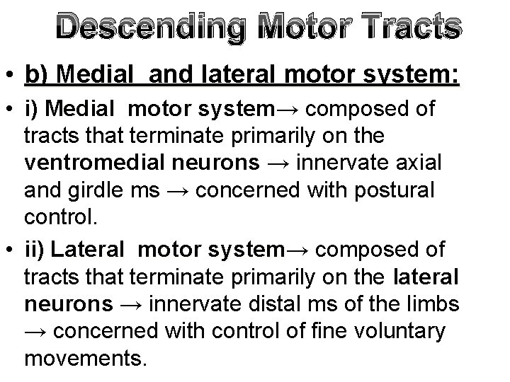 Descending Motor Tracts • b) Medial and lateral motor system: • i) Medial motor