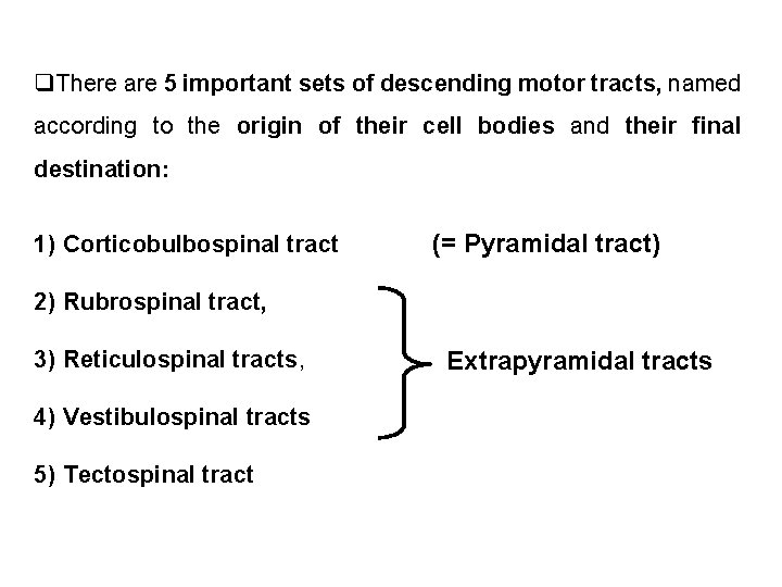 q. There are 5 important sets of descending motor tracts, named according to the