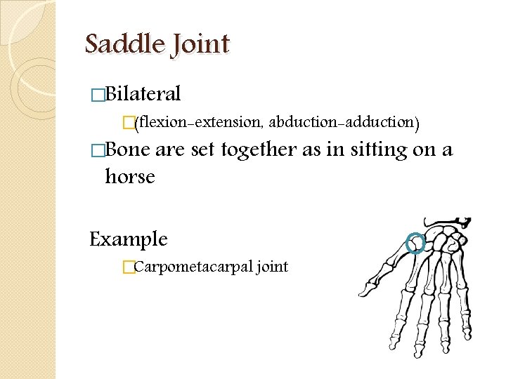 Saddle Joint �Bilateral �(flexion-extension, abduction-adduction) �Bone are set together as in sitting on a