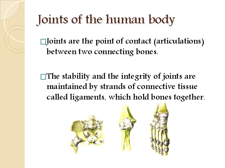 Joints of the human body �Joints are the point of contact (articulations) between two