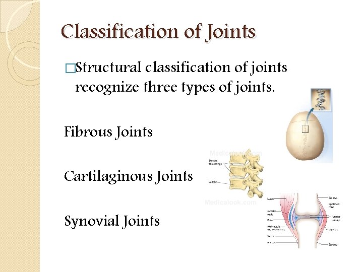 Classification of Joints �Structural classification of joints recognize three types of joints. Fibrous Joints