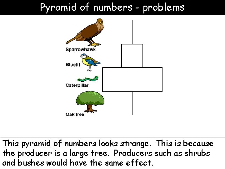 Pyramid of numbers - problems This pyramid of numbers looks strange. This is because