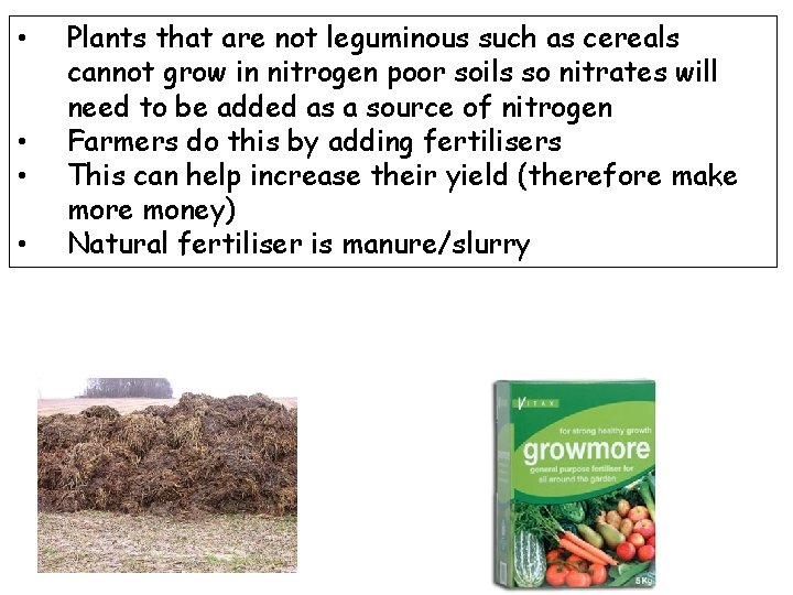  • • Plants that are not leguminous such as cereals cannot grow in