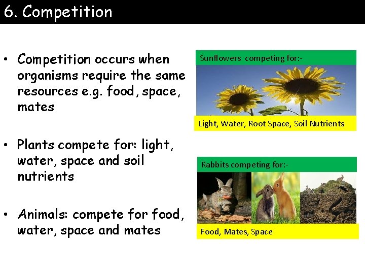 6. Competition • Competition occurs when organisms require the same resources e. g. food,