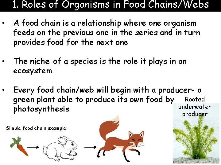 1. Roles of Organisms in Food Chains/Webs • A food chain is a relationship