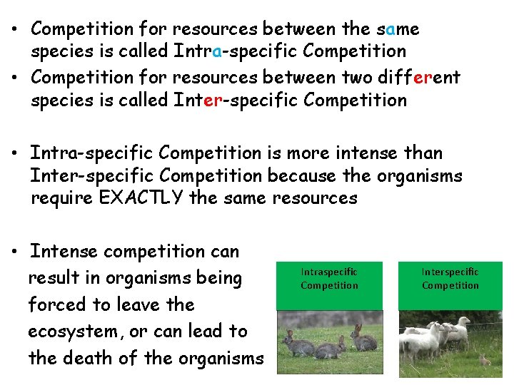  • Competition for resources between the same species is called Intra-specific Competition •