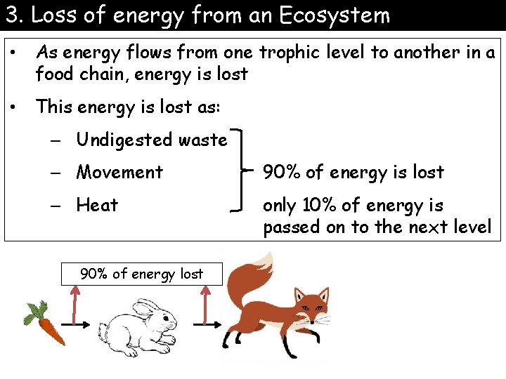 3. Loss of energy from an Ecosystem • As energy flows from one trophic