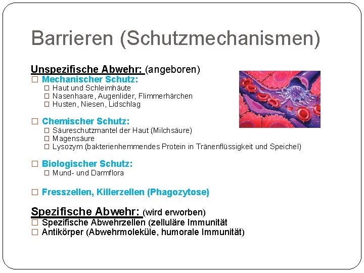 Barrieren (Schutzmechanismen) Unspezifische Abwehr: (angeboren) � Mechanischer Schutz: � Haut und Schleimhäute � Nasenhaare,