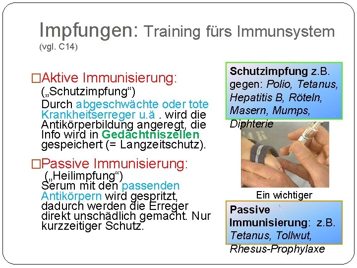 Impfungen: Training fürs Immunsystem (vgl. C 14) �Aktive Immunisierung: („Schutzimpfung“) Durch abgeschwächte oder tote