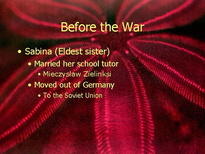 Before the War • Sabina (Eldest sister) • Married her school tutor • Mieczyslaw