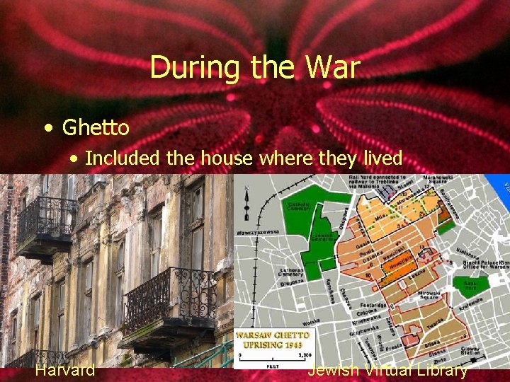 During the War • Ghetto • Included the house where they lived Harvard Jewish