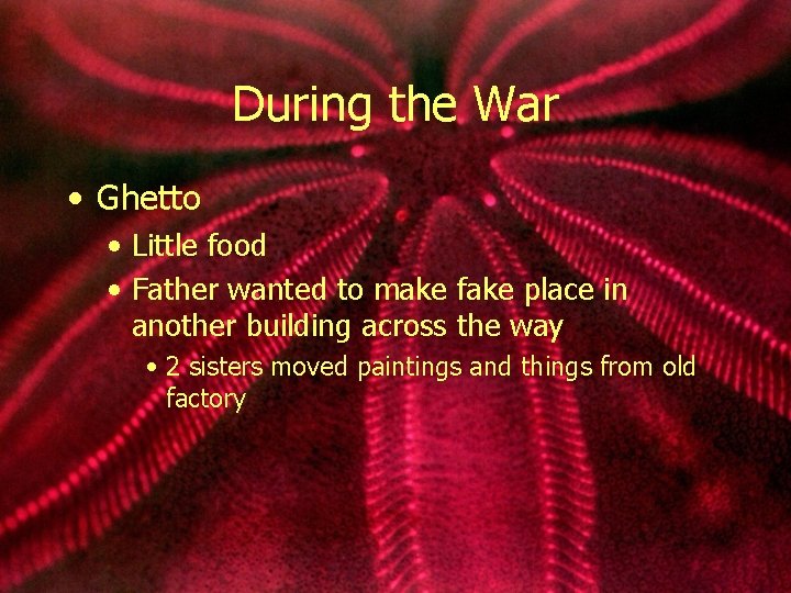 During the War • Ghetto • Little food • Father wanted to make fake
