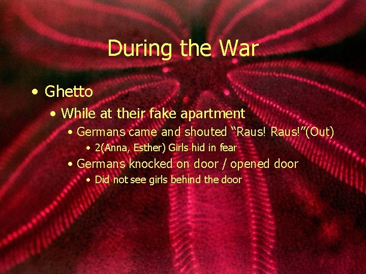 During the War • Ghetto • While at their fake apartment • Germans came