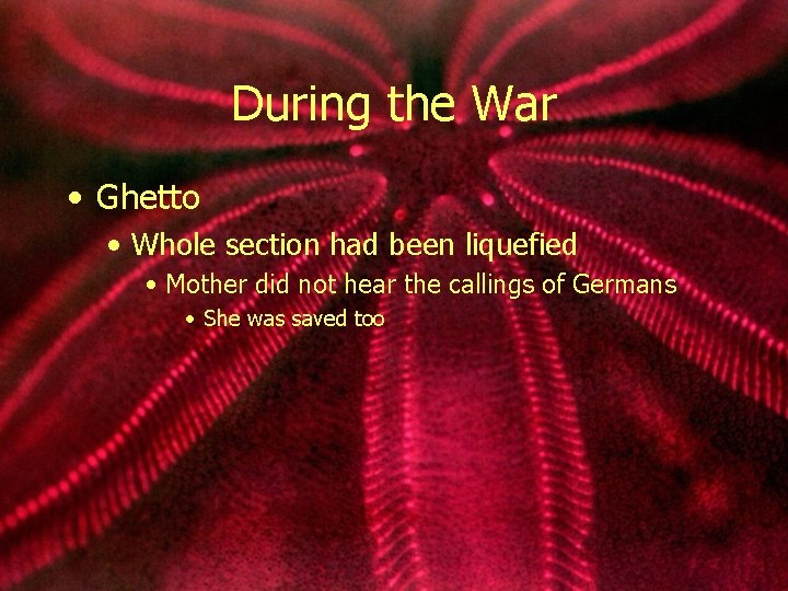 During the War • Ghetto • Whole section had been liquefied • Mother did