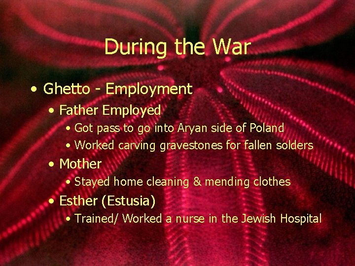 During the War • Ghetto - Employment • Father Employed • Got pass to