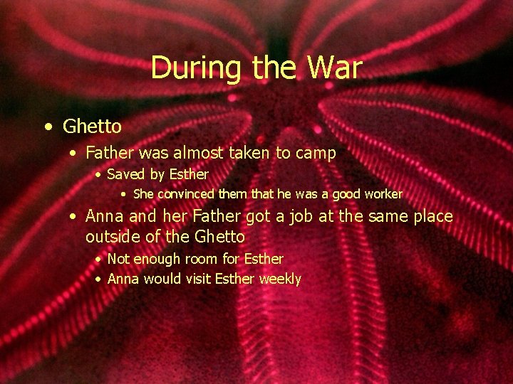 During the War • Ghetto • Father was almost taken to camp • Saved