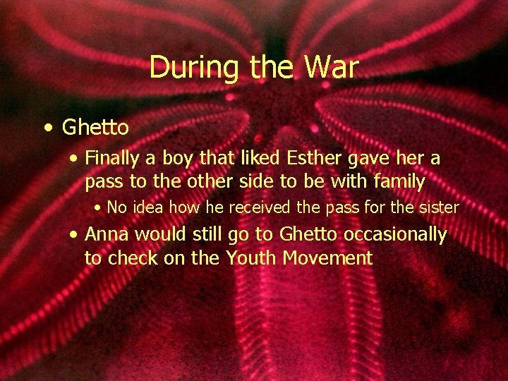 During the War • Ghetto • Finally a boy that liked Esther gave her
