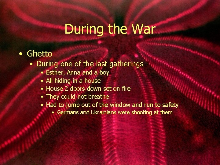 During the War • Ghetto • During one of the last gatherings • •