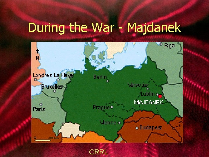 During the War - Majdanek CRRL 