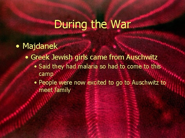 During the War • Majdanek • Greek Jewish girls came from Auschwitz • Said