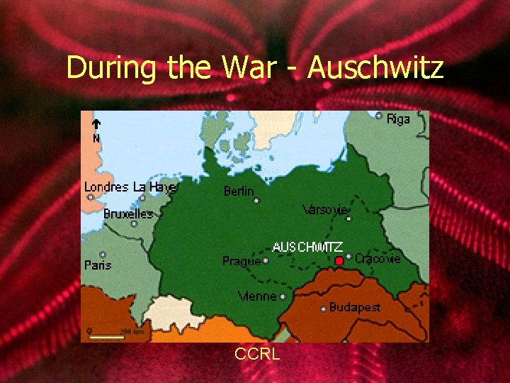 During the War - Auschwitz CCRL 