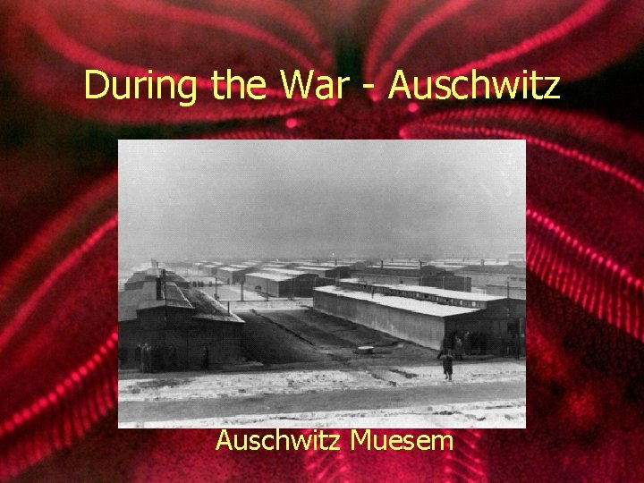 During the War - Auschwitz Muesem 