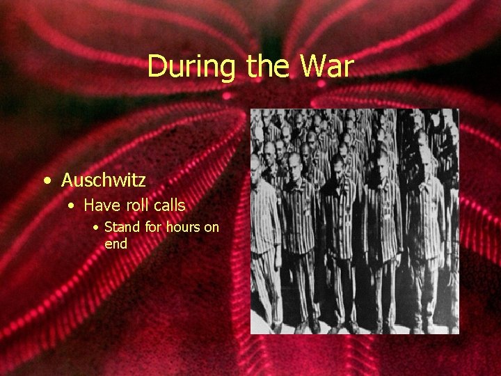 During the War • Auschwitz • Have roll calls • Stand for hours on