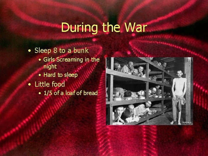 During the War • Sleep 8 to a bunk • Girls Screaming in the