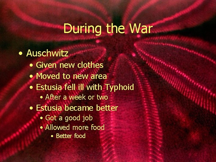 During the War • Auschwitz • Given new clothes • Moved to new area
