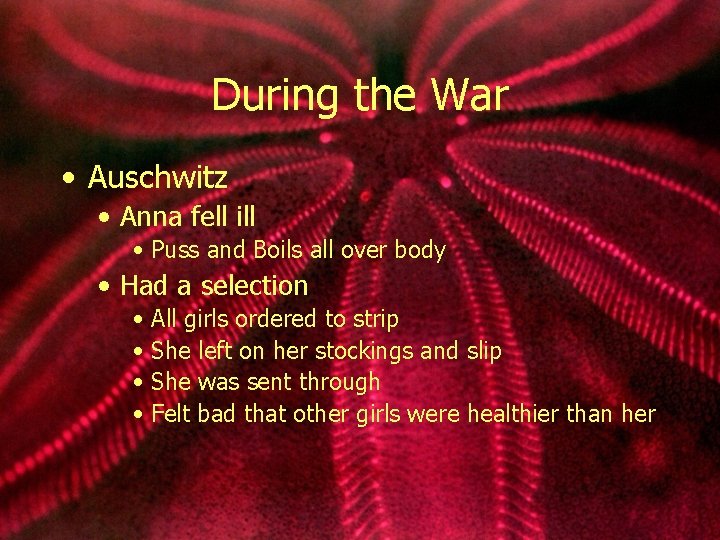 During the War • Auschwitz • Anna fell ill • Puss and Boils all