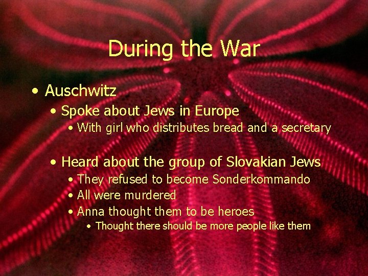 During the War • Auschwitz • Spoke about Jews in Europe • With girl