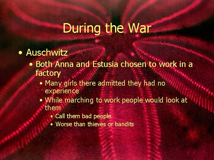 During the War • Auschwitz • Both Anna and Estusia chosen to work in