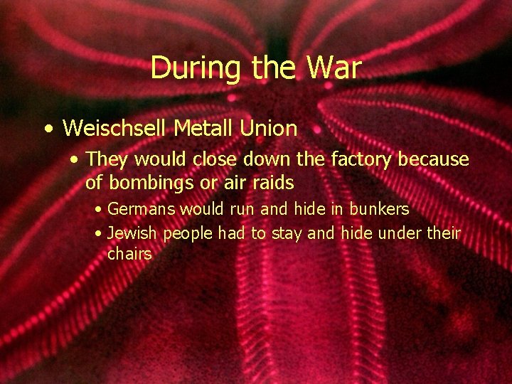 During the War • Weischsell Metall Union • They would close down the factory