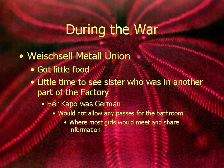During the War • Weischsell Metall Union • Got little food • Little time