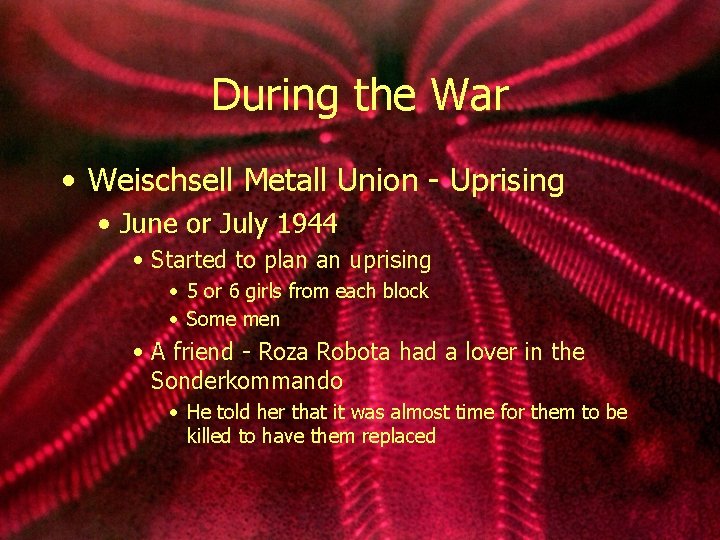During the War • Weischsell Metall Union - Uprising • June or July 1944
