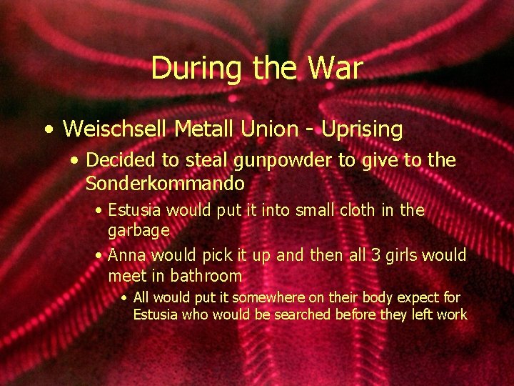 During the War • Weischsell Metall Union - Uprising • Decided to steal gunpowder