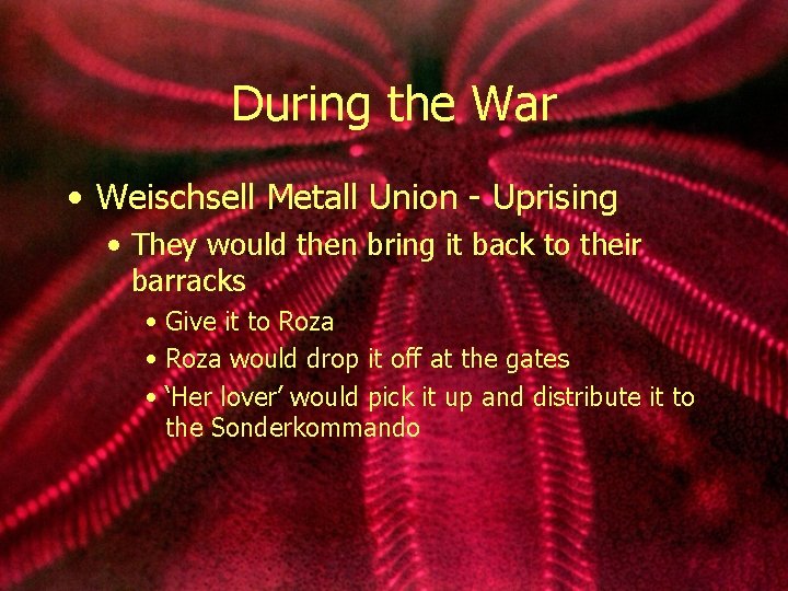 During the War • Weischsell Metall Union - Uprising • They would then bring