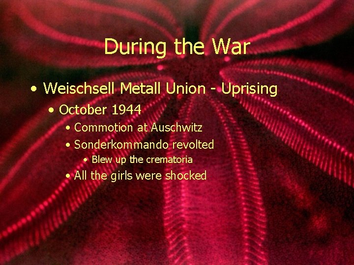 During the War • Weischsell Metall Union - Uprising • October 1944 • Commotion