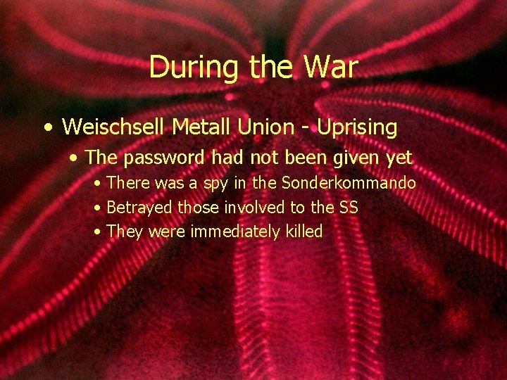 During the War • Weischsell Metall Union - Uprising • The password had not