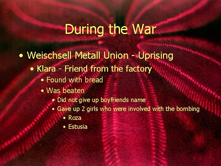 During the War • Weischsell Metall Union - Uprising • Klara - Friend from