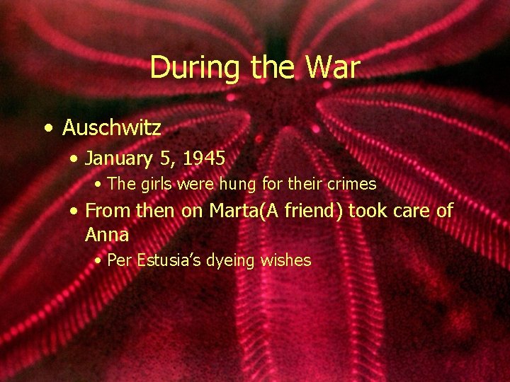 During the War • Auschwitz • January 5, 1945 • The girls were hung