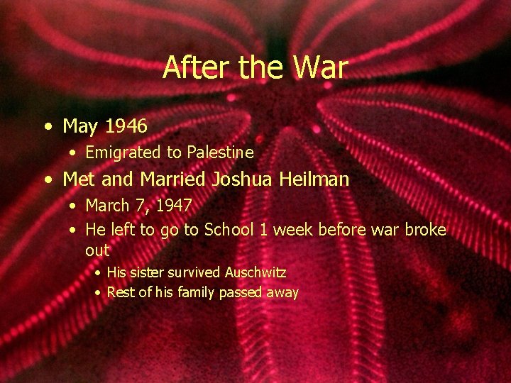 After the War • May 1946 • Emigrated to Palestine • Met and Married