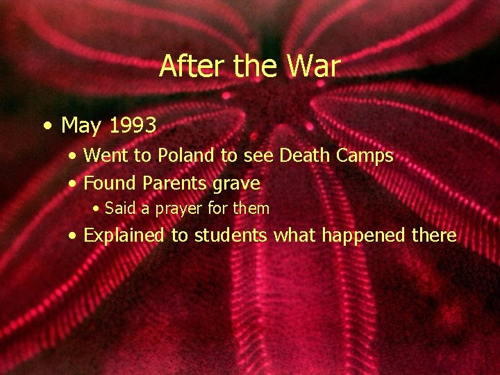 After the War • May 1993 • Went to Poland to see Death Camps