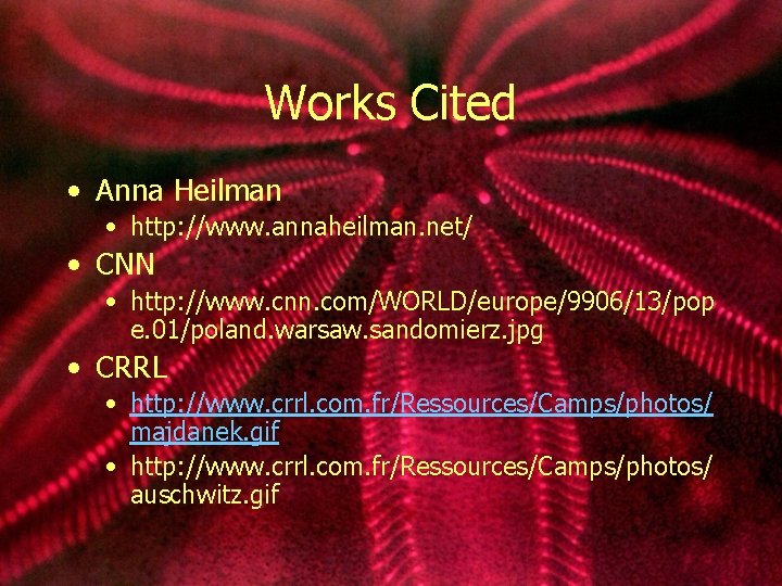 Works Cited • Anna Heilman • http: //www. annaheilman. net/ • CNN • http: