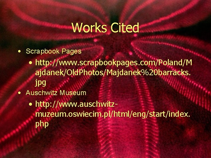 Works Cited • Scrapbook Pages • http: //www. scrapbookpages. com/Poland/M ajdanek/Old. Photos/Majdanek%20 barracks. jpg