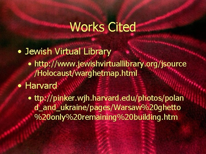 Works Cited • Jewish Virtual Library • http: //www. jewishvirtuallibrary. org/jsource /Holocaust/warghetmap. html •