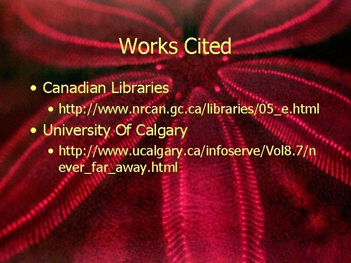 Works Cited • Canadian Libraries • http: //www. nrcan. gc. ca/libraries/05_e. html • University