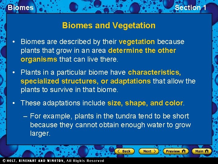 Biomes Section 1 Biomes and Vegetation • Biomes are described by their vegetation because Biomes Section 1 Biomes and Vegetation • Biomes are described by their vegetation because