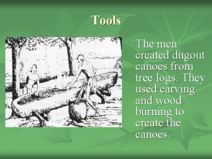 Tools The men created dugout canoes from tree logs. They used carving and wood
